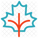 Klee Irisches Kleeblatt Symbol