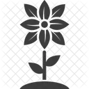 Kleeblatt Topfpflanze Bluhende Pflanze Symbol