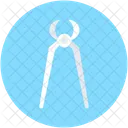Klein  Icon
