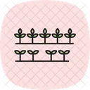 Kleine Pflanzen In Reihen Klein Pflanzen Symbol