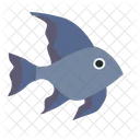 Kleiner Fisch  Symbol