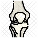 Knee Joint Bone Symbol