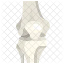 Knee Joint Bone Icône