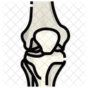 Knee Joint Bone Icône