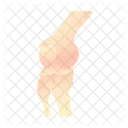 Knee  Icon