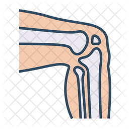 Knee Joint Icon - Download in Colored Outline Style