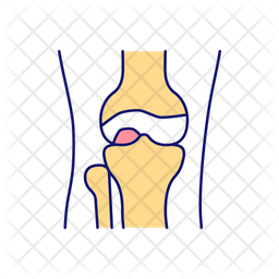 Knee joint Icon - Download in Colored Outline Style