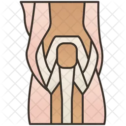Knee Joint  Icon