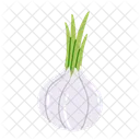 Knoblauch  Symbol