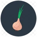 Knoblauch Naturliche Lebensmittel Gesunde Ernahrung Symbol