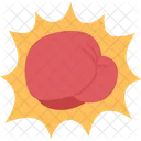 Knockout  Icon