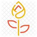 Knospe  Symbol