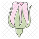 Blume Knospe Pflanze Icon