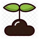 Knospe  Icon