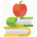 Knowledge Education Library Icon