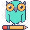 Knowledge Owl Education Icon