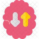 Knowledge Brain Learning Icon