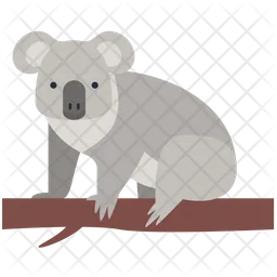 Koala  Icon