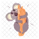 Koala Climbing Cinereus Animal Icon