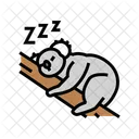 Koala Sleepy  Icon