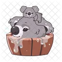 Koalas With Mom  Icon