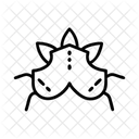 Kochfeld Symbol