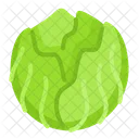 Kohl Gemuse Vegan Symbol