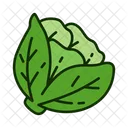 Kohl Gemuse Gesund Symbol