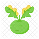 Kohlrabi Cabbage Turnip Icon