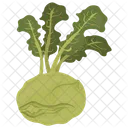 Kohlrabi Green Vegetable Icon
