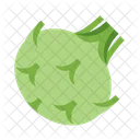 Kohlrabi  Icon