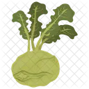 Kohlrabi Green Vegetable Icon