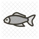 Fish Japan Animal Icon