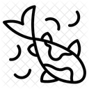  Symbol