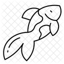  Symbol