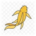 Koi fish  Icon
