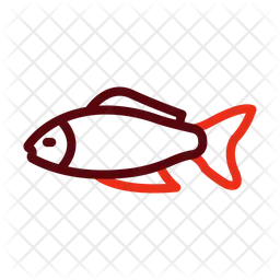 Koi  Icon
