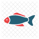 Koi Fish Japan Icon