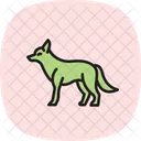 Kojote Symbol