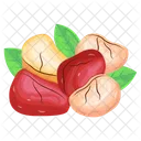Kola Nuts  Icon
