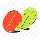 Kola Nuts Kola Seeds Nuts Icon