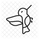 Kolibri Vogel Vogel Symbol