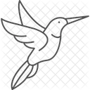 Kolibri Vogel Winzig Symbol