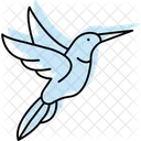 Kolibri Vogel Winzig Symbol