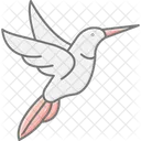 Kolibri Vogel Winzig Symbol