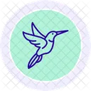 Kolibri Vogel Winzig Symbol