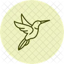 Kolibri Vogel Winzig Symbol