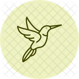 Kolibri  Symbol