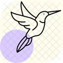 Kolibri Vogel Winzig Symbol