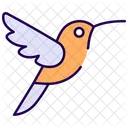 Kolibri Vogel Vogel Symbol